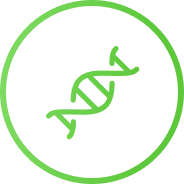 Универсальный профиль (Биологическое направление, 10-11 класс)